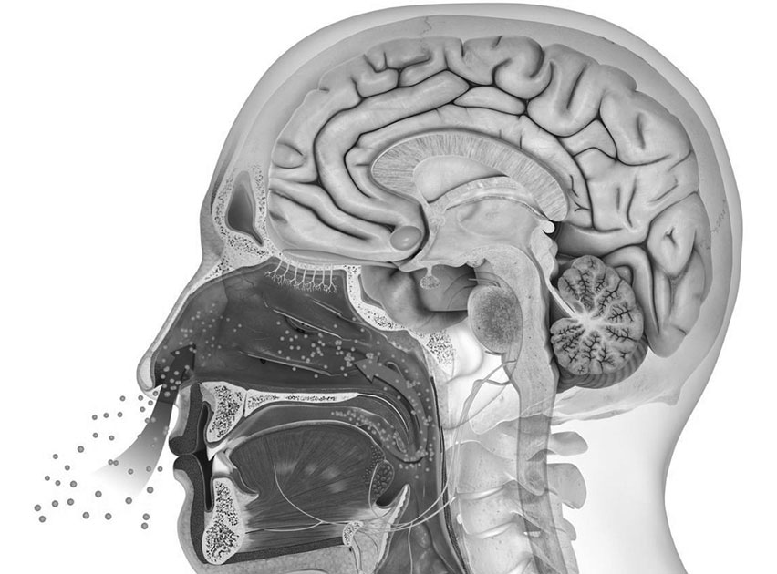 餐飲店室內設計:氣味心理學研究